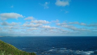 11902522_1009928252393422_3157862948144690093_n.jpg